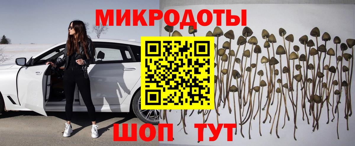 Галлюциногенные грибы Cubensis Шали