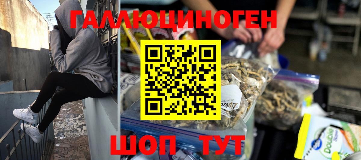 наркота  Псилоцибиновые грибы ЛСД  Вход с VPN  Шали  Псилоцибиновые грибы мицелий 